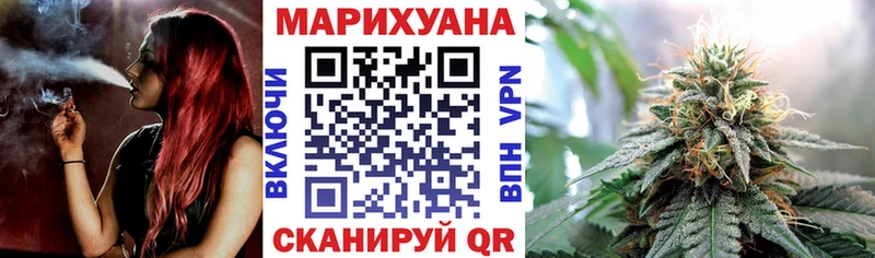 Конопля план  Купить где  Шахты 